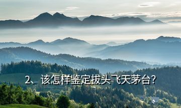 2、該怎樣鑒定拔頭飛天茅臺？