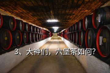 3、大神們，六堡茶如何？