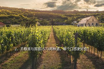 2、五糧液與國窖1573兩種酒，哪個口感更好些？