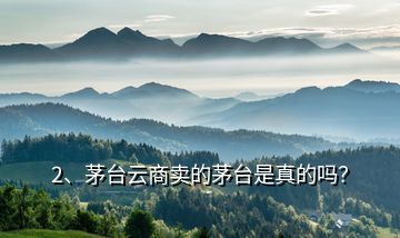 2、茅臺云商賣的茅臺是真的嗎？