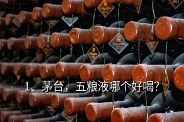 1、茅臺，五糧液哪個好喝？