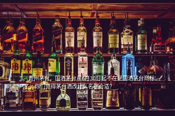3、貴州茅臺、國酒茅臺從6月30日起不在是國酒茅臺商標?了，你們覺得茅臺酒改什么名字合適？