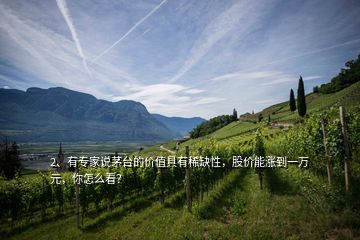 2、有專家說茅臺的價值具有稀缺性，股價能漲到一萬元，你怎么看？