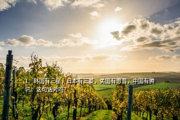 1、韓國有三星，日本有三菱，美國有惠普，中國有騰訊。這句話對嗎？