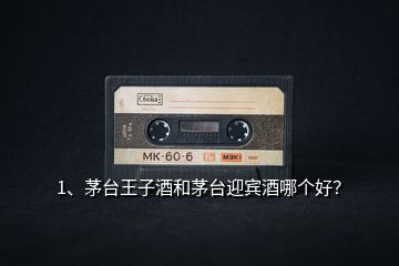 1、茅臺(tái)王子酒和茅臺(tái)迎賓酒哪個(gè)好？