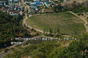 1、你們下班都干什么了？我這上班一個(gè)人，下班一個(gè)人都快抑郁了？