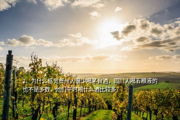 2、為什么感覺貴州人很少喝茅臺酒，四川人喝五糧液的也不是多數，他們平時喝什么酒比較多？