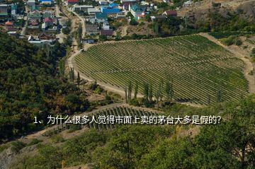 1、為什么很多人覺得市面上賣的茅臺大多是假的？