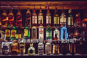 5、五糧液和洋河，哪一個(gè)更好喝？