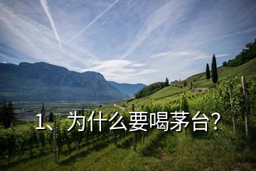 1、為什么要喝茅臺？