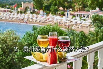 2、貴州茅臺為什么突然大跌？