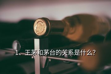 1、王茅和茅臺的關系是什么？