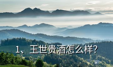 1、王世貴酒怎么樣？
