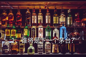 1、誰將是下一個茅臺？