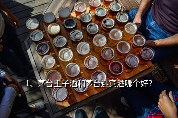 1、茅臺(tái)王子酒和茅臺(tái)迎賓酒哪個(gè)好？