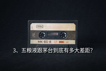3、五糧液跟茅臺(tái)到底有多大差距？