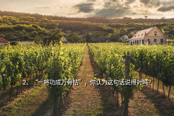 2、“一將功成萬(wàn)骨枯”，你認(rèn)為這句話說得對(duì)嗎？