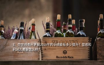 3、你覺得貴州茅臺2019年的業績能有多少提升？營收和利潤方面會怎么樣？