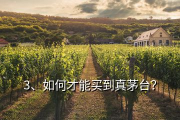 3、如何才能買到真茅臺？