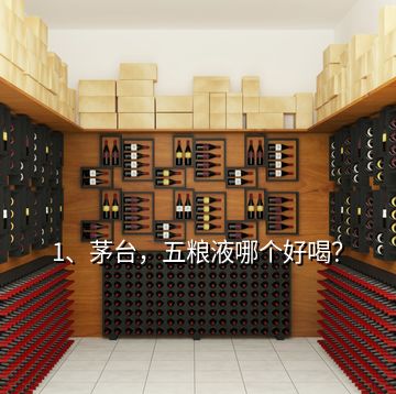 1、茅臺，五糧液哪個好喝？