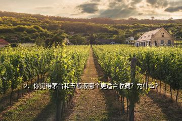 2、你覺得茅臺和五糧液哪個更適合收藏？為什么？