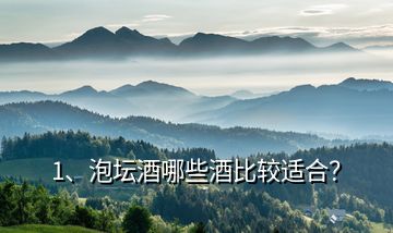 1、泡壇酒哪些酒比較適合？