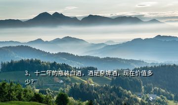 3、十二年的瓶裝白酒，酒是雜牌酒，現在價值多少？
