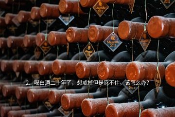 2、喝白酒二十年了，想戒掉但是忍不住，該怎么辦？