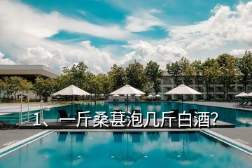 1、一斤桑葚泡幾斤白酒？