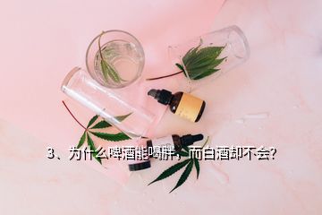 3、為什么啤酒能喝胖，而白酒卻不會？
