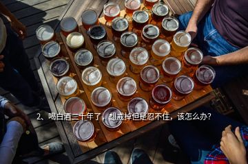 2、喝白酒二十年了，想戒掉但是忍不住，該怎么辦？