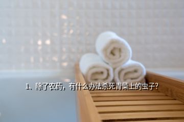 1、除了農藥，有什么辦法殺死青菜上的蟲子？