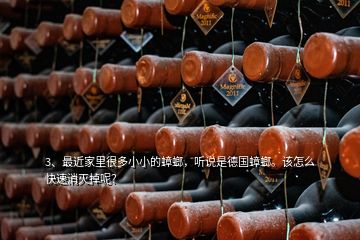 3、最近家里很多小小的蟑螂，聽說是德國蟑螂。該怎么快速消滅掉呢？