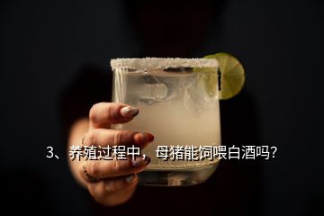 3、養殖過程中，母豬能飼喂白酒嗎？