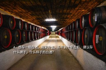 4、想存一瓶白酒，用來升值，五年到十年左右，建議存什么牌子，什么樣子的白酒？