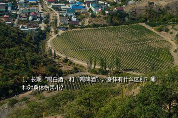 1、長期“喝白酒”和“喝啤酒”，身體有什么區別？哪種對身體傷害小？