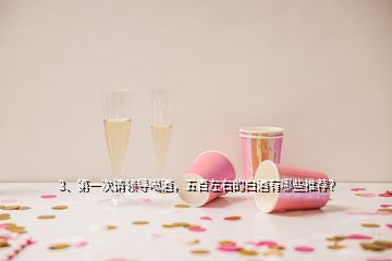 3、第一次請領(lǐng)導(dǎo)喝酒，五百左右的白酒有哪些推薦？