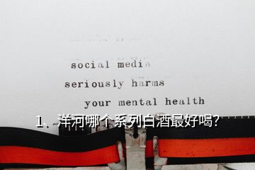 1、洋河哪個(gè)系列白酒最好喝？