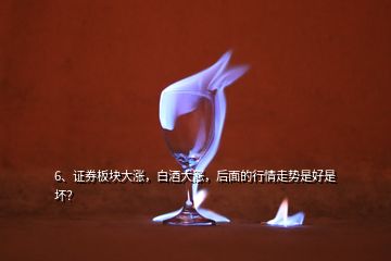 6、證券板塊大漲，白酒大漲，后面的行情走勢是好是壞？