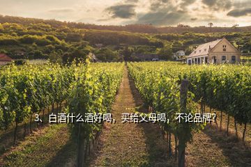 3、白酒什么酒好喝，買給父母喝，不論品牌？