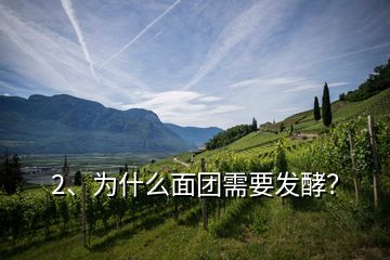 2、為什么面團需要發酵？