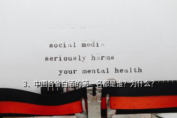 3、中國(guó)各省白酒的第一名都是誰(shuí)？為什么？