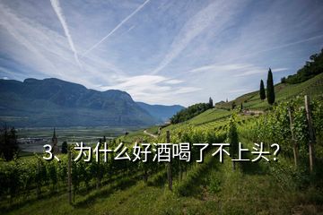 3、為什么好酒喝了不上頭？