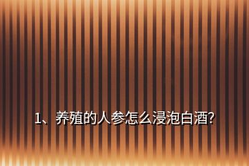 1、養殖的人參怎么浸泡白酒？