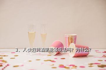 3、人參泡到酒里能夠成活嗎？為什么？