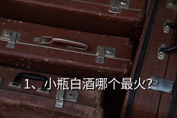 1、小瓶白酒哪個最火？