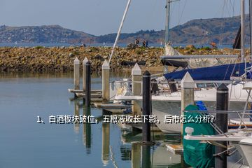 1、白酒板塊破位，五糧液收長下影，后市怎么分析？