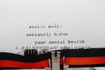 3、歐洲人喜歡中國白酒嗎？他們怎么看待中國白酒？