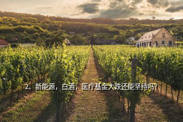 2、新能源，白酒，醫(yī)療基金大跌還能堅(jiān)持嗎？