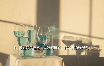 3、最近想給爸爸買點好的白酒，什么白酒好喝呢？